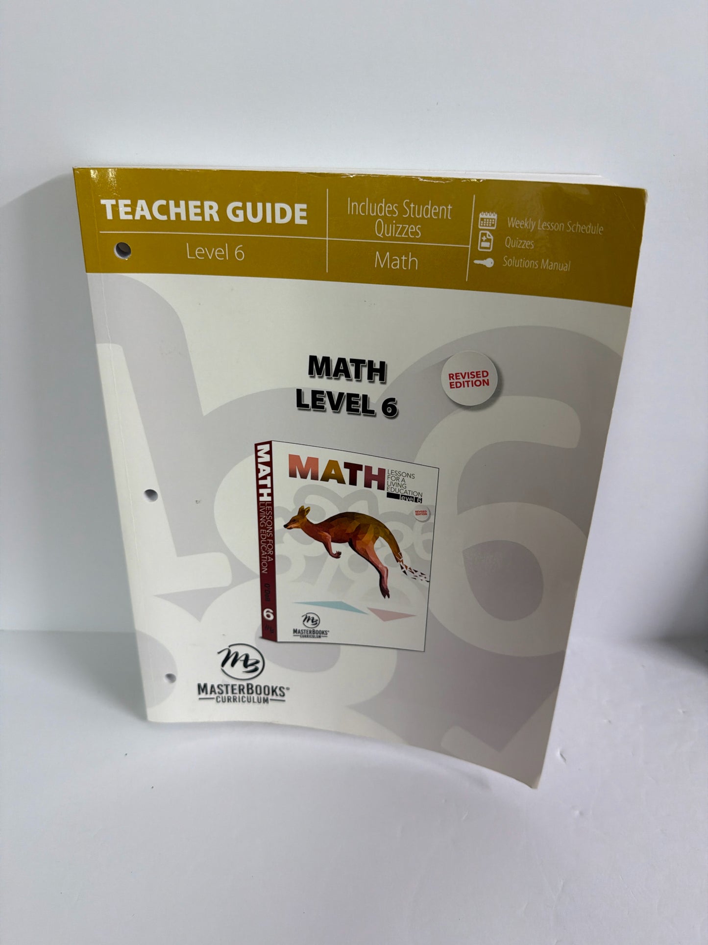 Math Level 6 MasterBooks Teacher Guide  Pre-Owned Mathematics Textbooks
