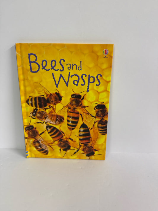 Bees and Wasps James Maclaine Usborne Hardback Books
