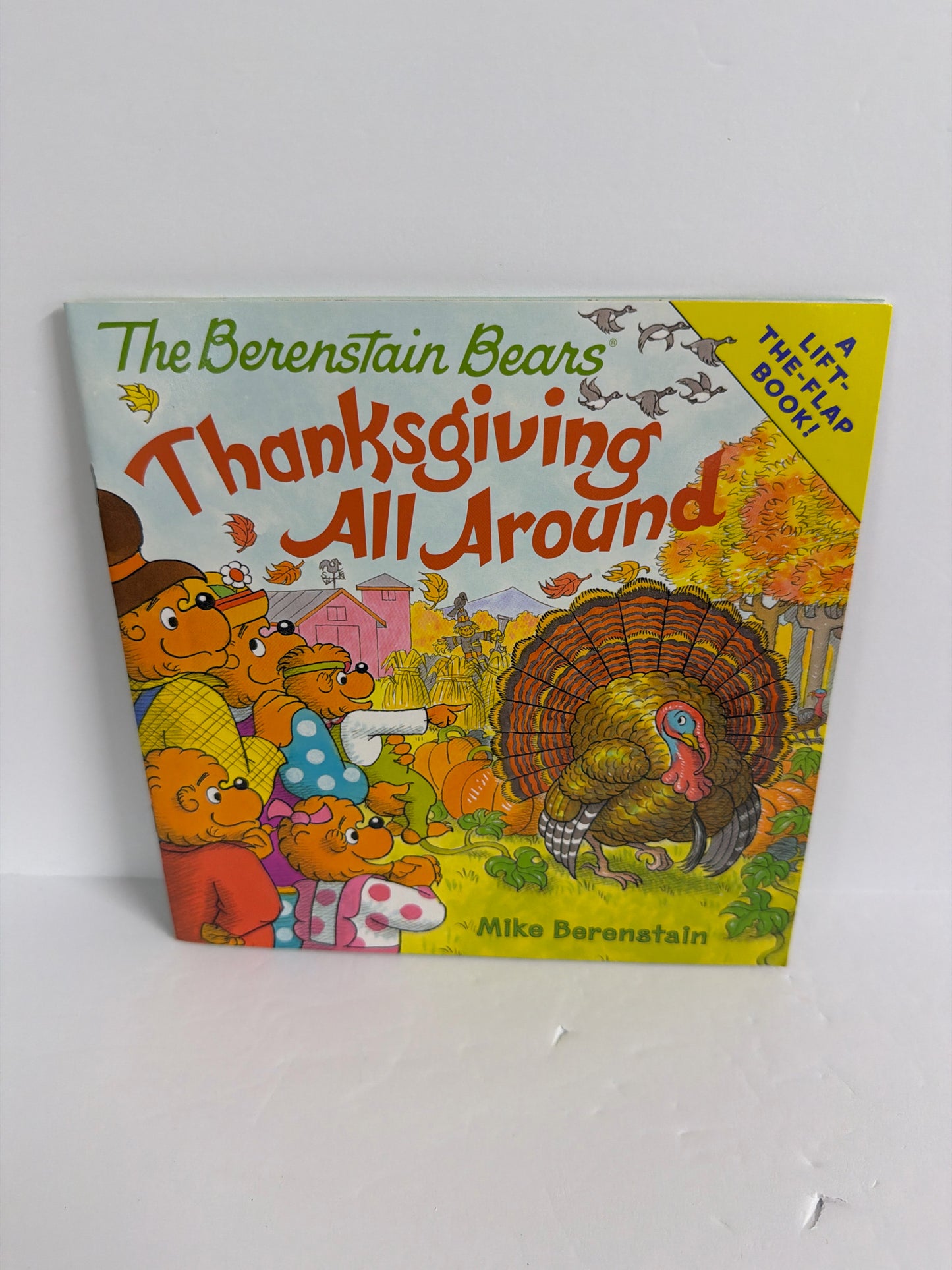 Thanksgiving All Around Harper Festival Pre-Owned Elementary Children's Books