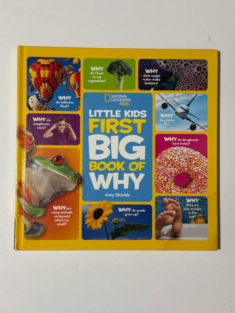 Little Kids First Big Book of Why Amy Shields Hardback Books