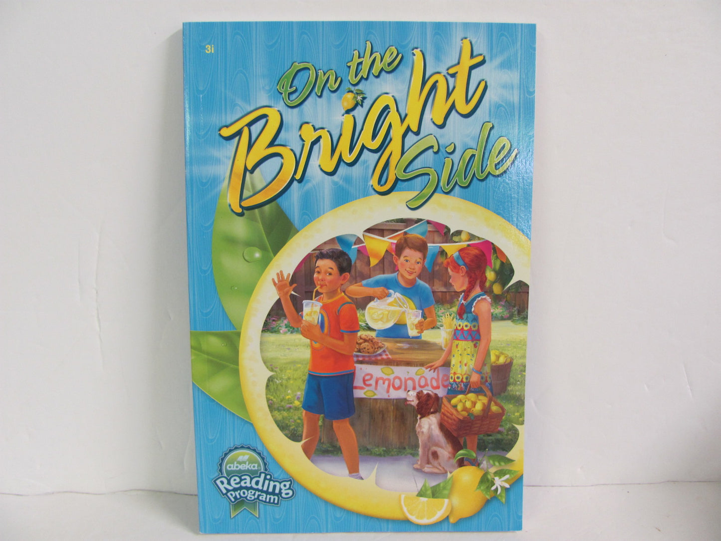 On the Bright Side Abeka Student Book Pre-Owned 3rd Grade Reading Textbooks