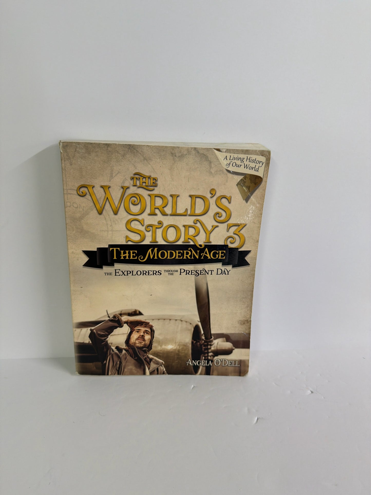The World's Story 3 MasterBooks Student Text  Pre-Owned History Textbooks