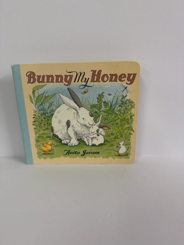 Bunny My Honey Anita Jeram Candlewick Pres Hardback Books