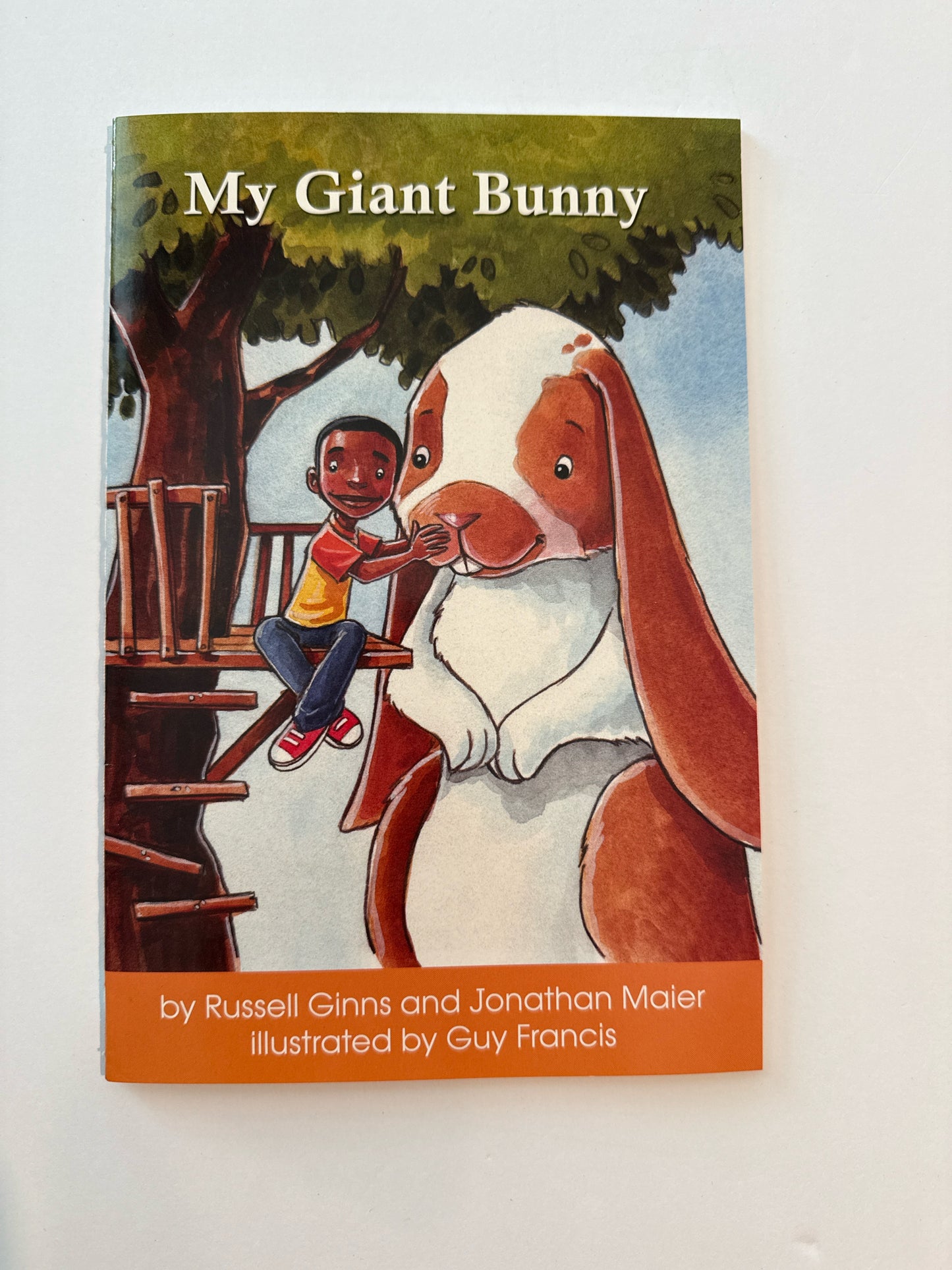 My Giant Bunny Hooked on Phonics Pre-Owned Elementary Phonic Readers