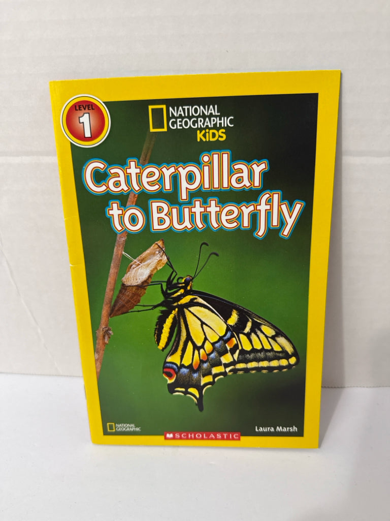 Caterpillar to Butterfly National Geographic Kids Animals/Insects Books