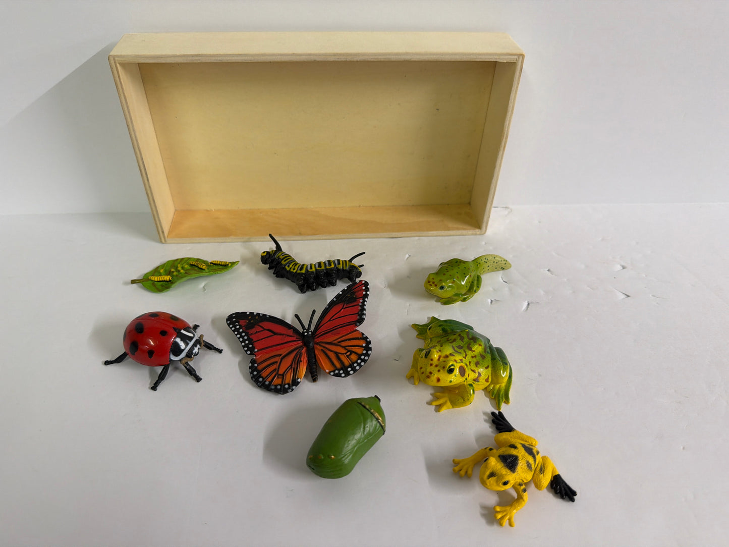 Metamorphosis Kit Pre-Owned Miscellaneous