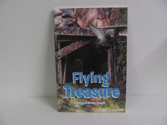Flying Treasure Covenant Books Inc. Reader  Pre-Owned Fiction Books