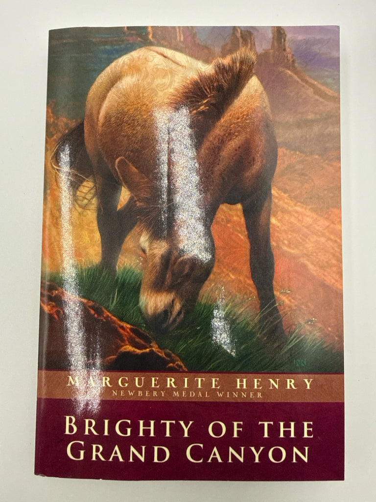 Brighty of the Grand Canyon Aladdin Pre-Owned Marguerite Henry Fiction Books