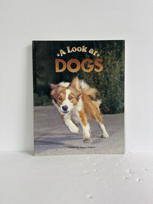 A Look at Dogs Monica Halpern Steck Vaughn Paperback Books