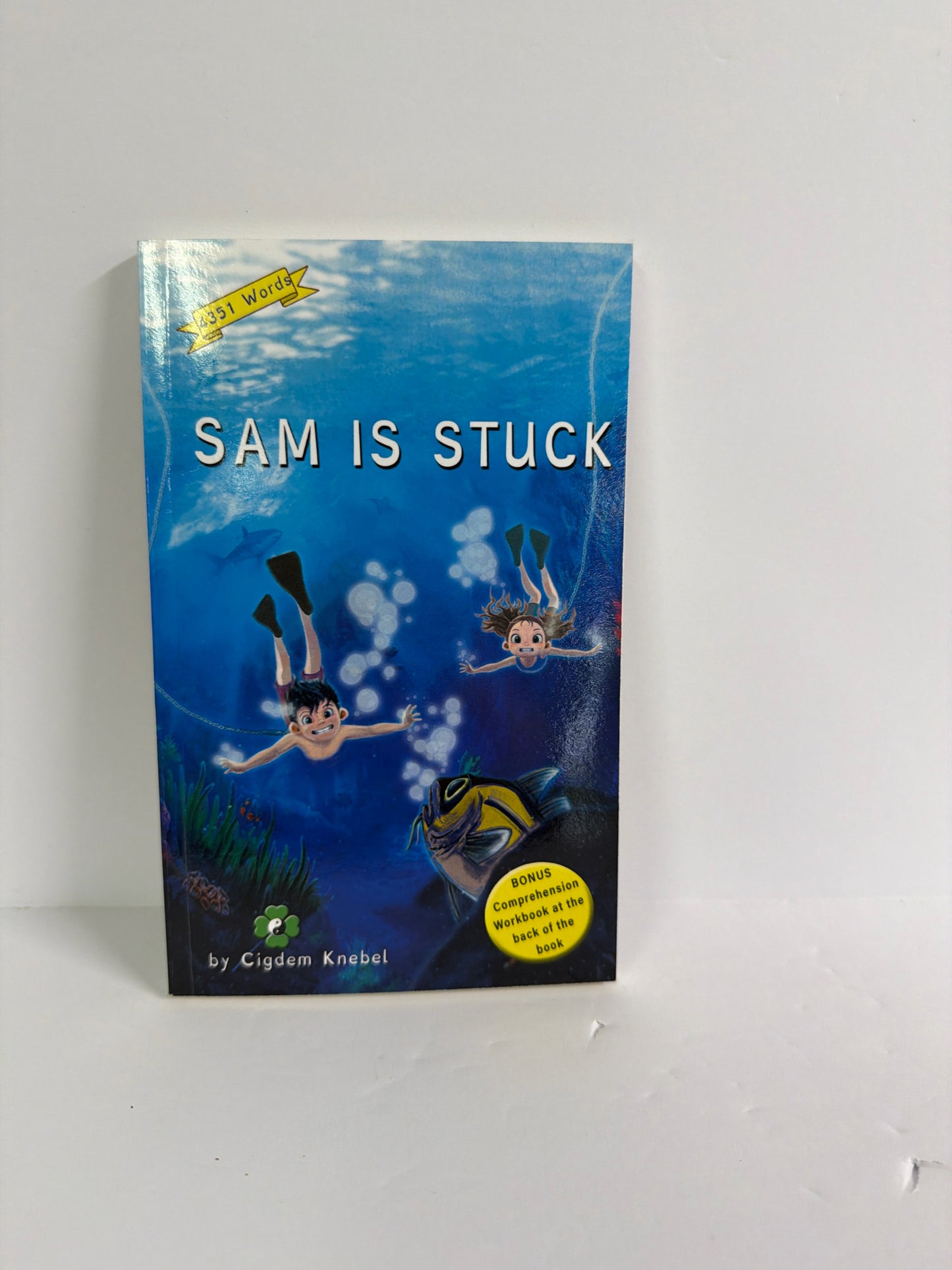 Sam Is Stuck Simple Words Books Pre-Owned Cigdem Knebel Elementary Fiction Books