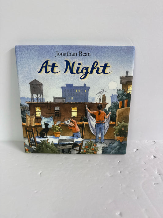 At Night Jonathan Bean Farrar Straus Hardback Books