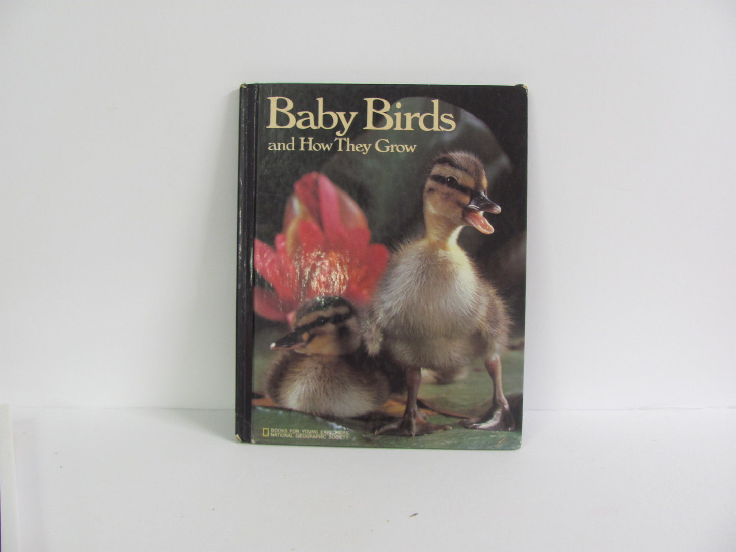Baby Birds and How They Grow National Geographic Pre-Owned Science Textbooks