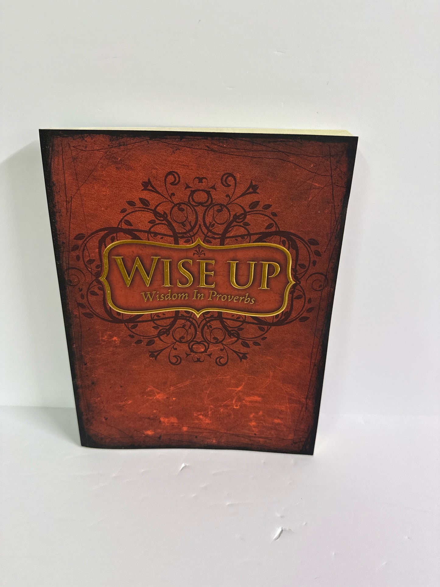 Wise Up Positive Action Student Manual Pre-Owned Middle School Bible Books