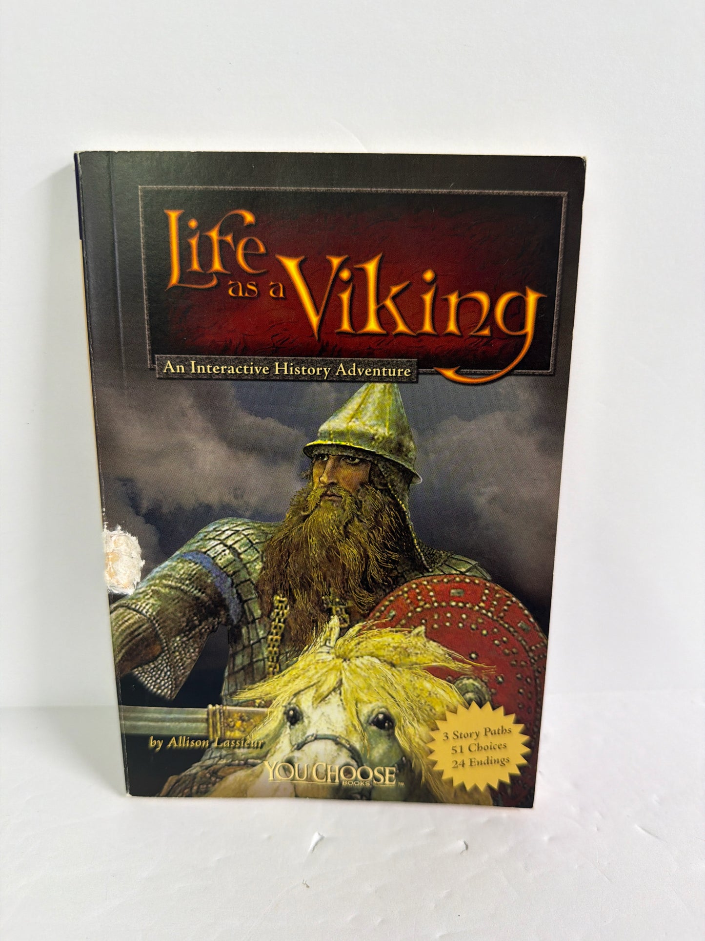 Life as a Viking Allison Lassieur Capstone Press Juvenile Fiction