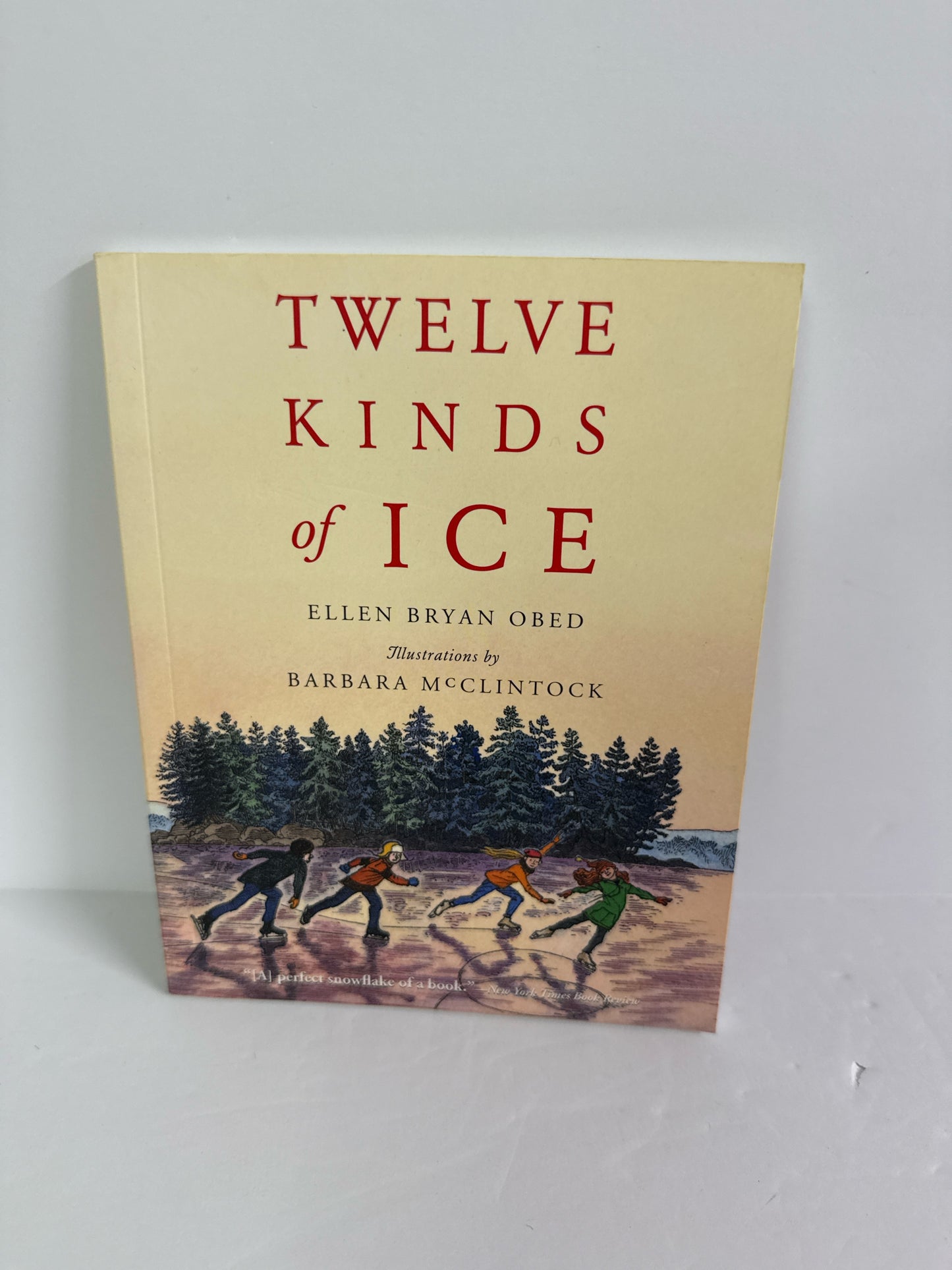 Twelve Kinds of Ice Houghton Mifflin Pre-Owned Ellen Bryan Obed Fiction Books