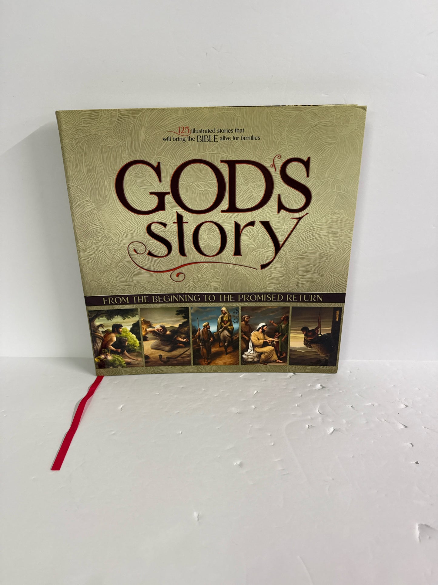 God's Story MasterBooks Student Book Middle School Bible Textbooks