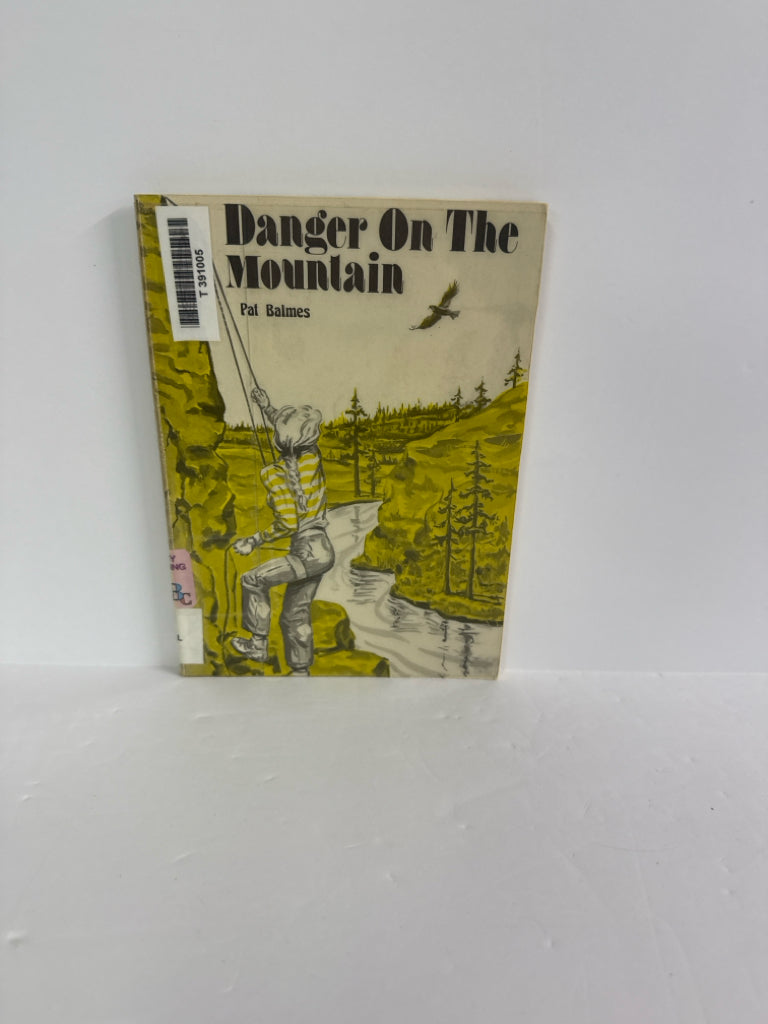 Danger on the Mountain High Noon Pre-Owned Pat Balmes Fiction Books