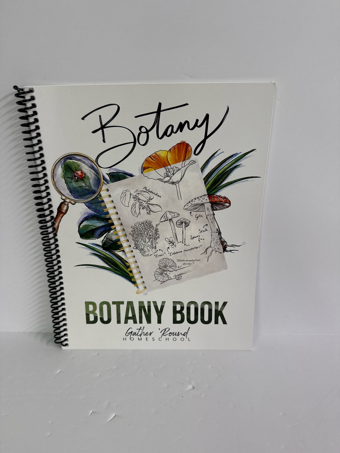 Botany Book Gather 'Round Workbook  Pre-Owned Charlotte Mason