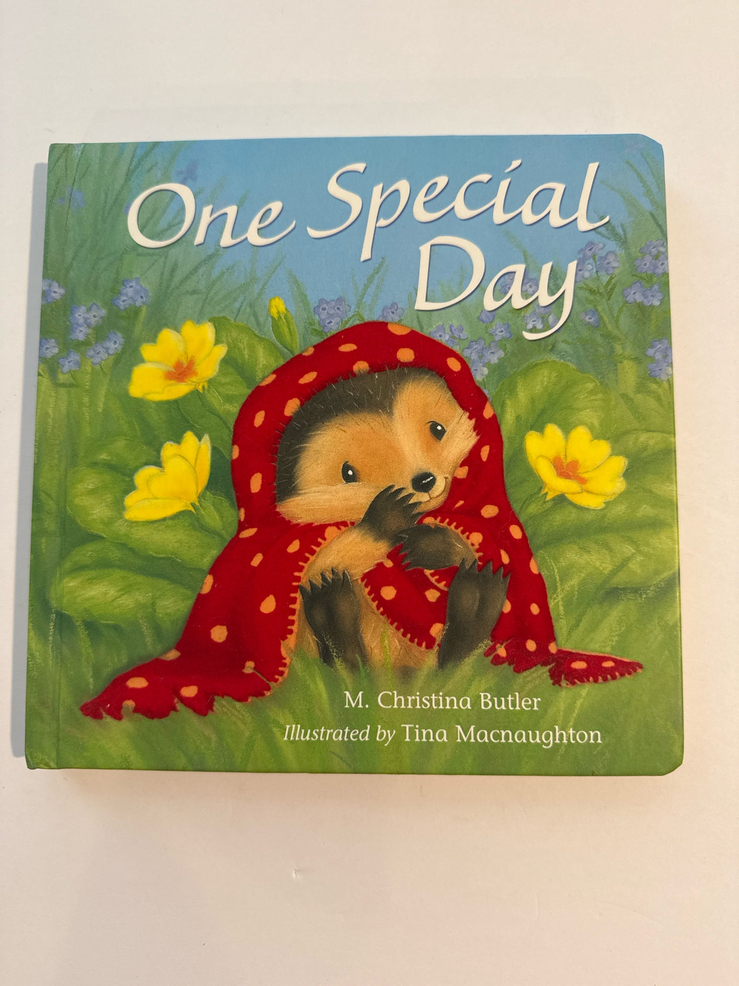 One Special Day Little Tiger Press Pre-Owned Children's Books
