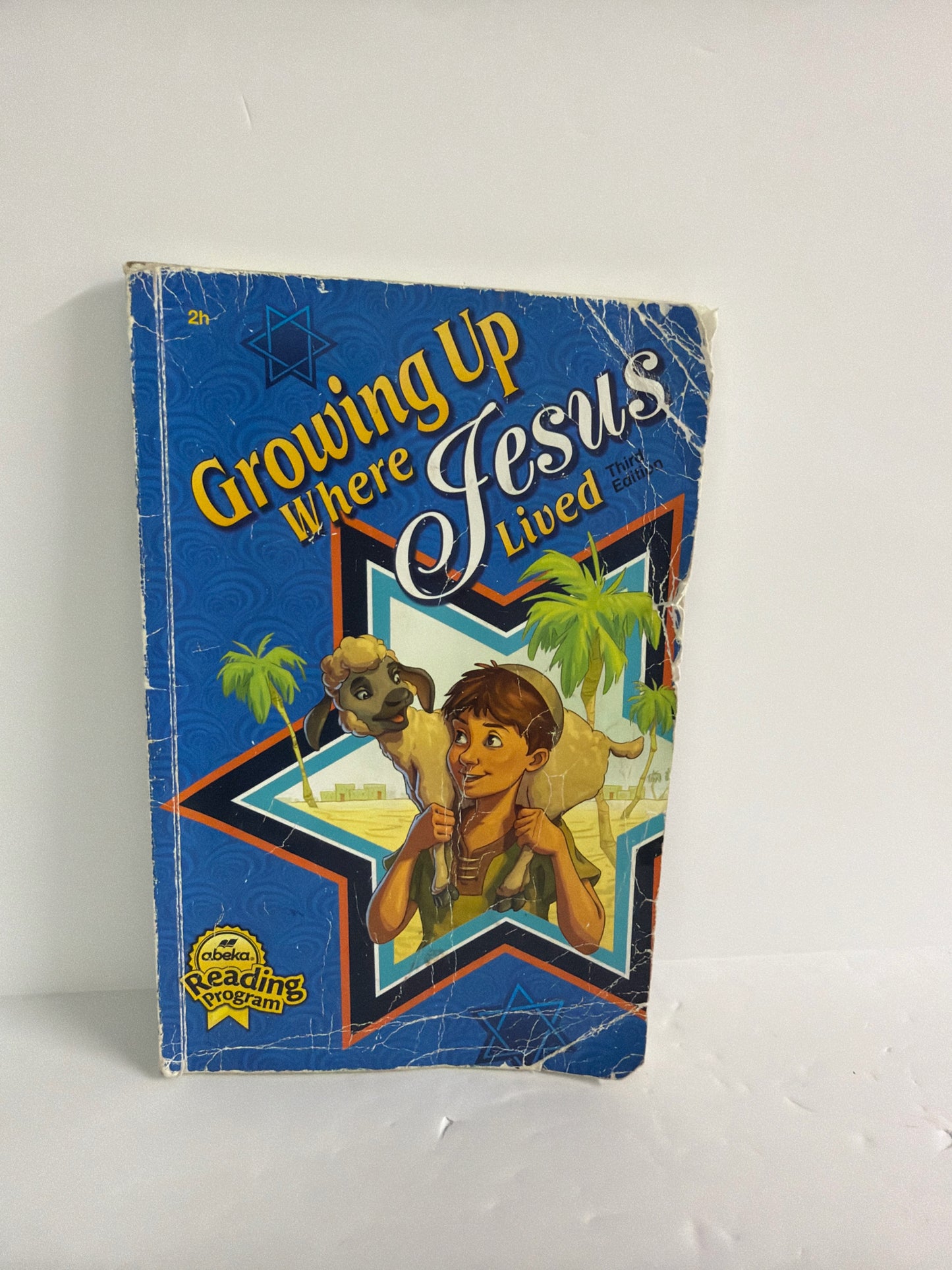 Growing Up Where Jesus Lived Abeka Reader  Pre-Owned 2nd Grade Reading Textbooks