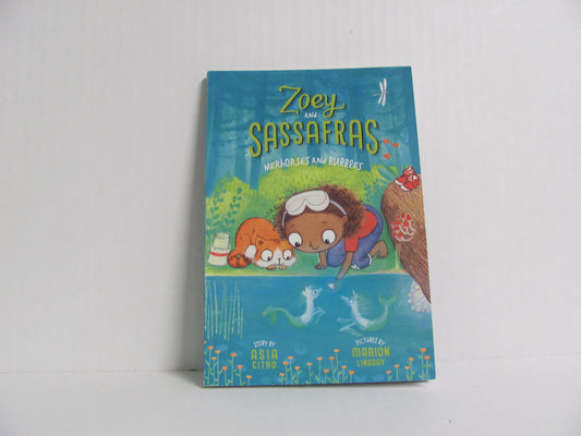Merhorses and Bubbles Worzalla Pre-Owned Asia Citro Elementary Children's Books