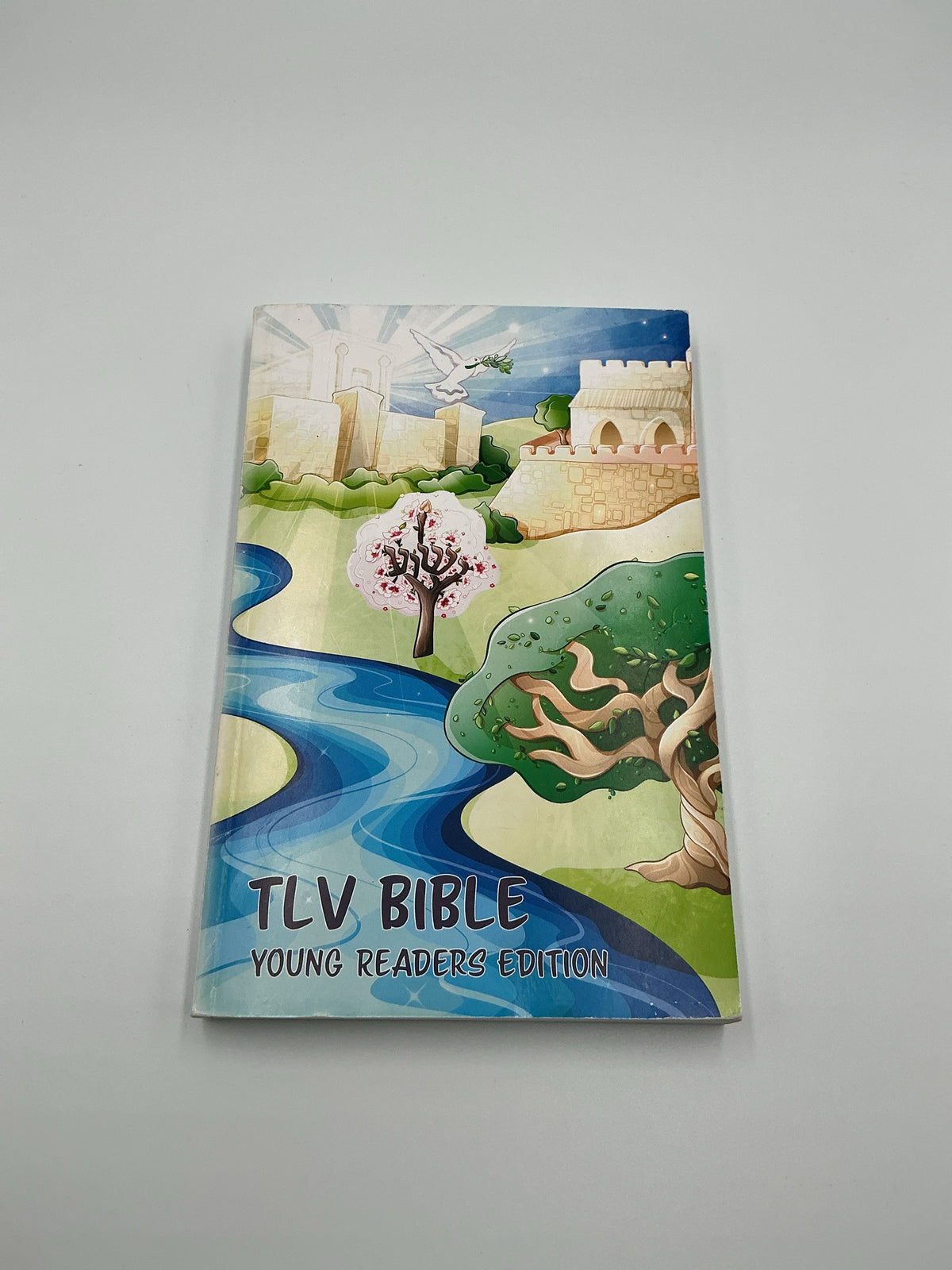 TLV Bible Young Readers Edition TLV Bible Society Pre-Owned Bible Textbooks