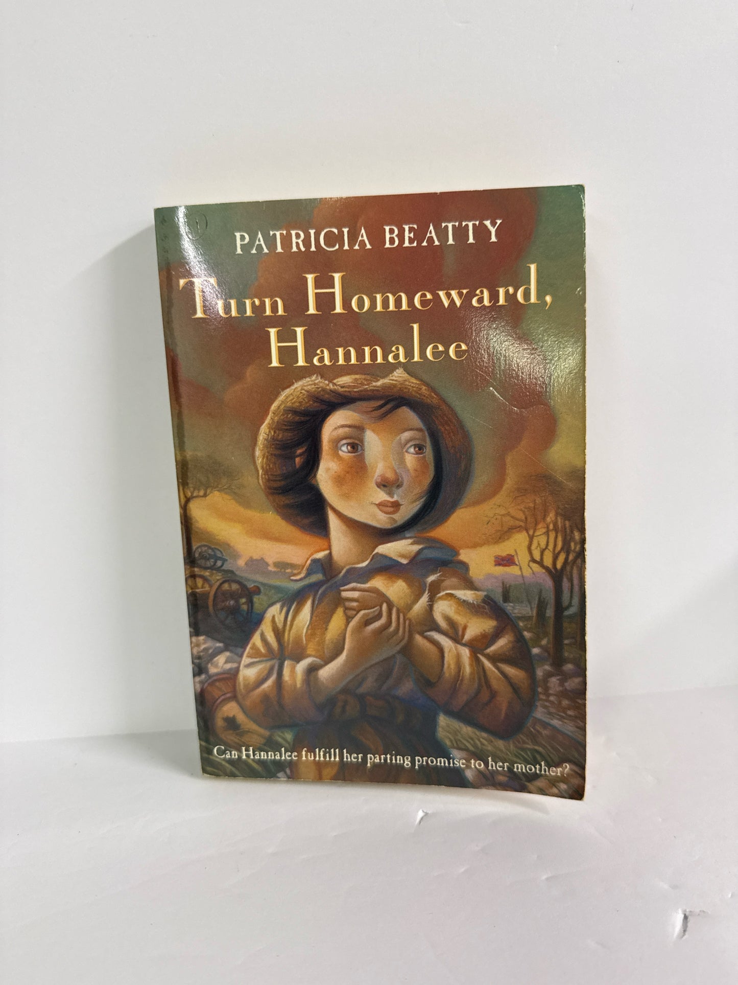 Turn Homeward Hannalee Beech Tree Pre-Owned Patricia Beatty Fiction Books