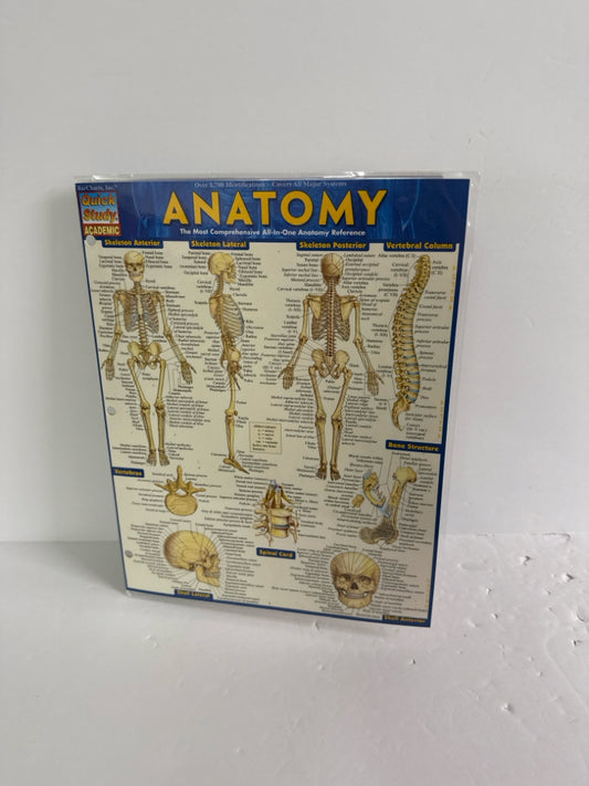 Anatomy Quick Study Chart  Pre-Owned High School Science Textbooks