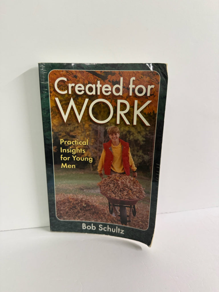 Created for Work Great Expectations Pre-Owned Bob Schultz Bible Textbooks