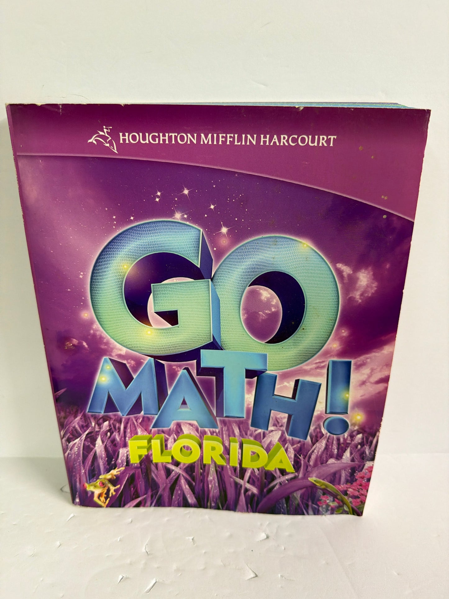 Go Math Florida Houghton Mifflin 3rd Grade Mathematics Textbooks