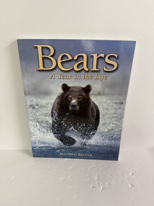Bears Firefly Pre-Owned Matthias Breiter Elementary Animals/Insects