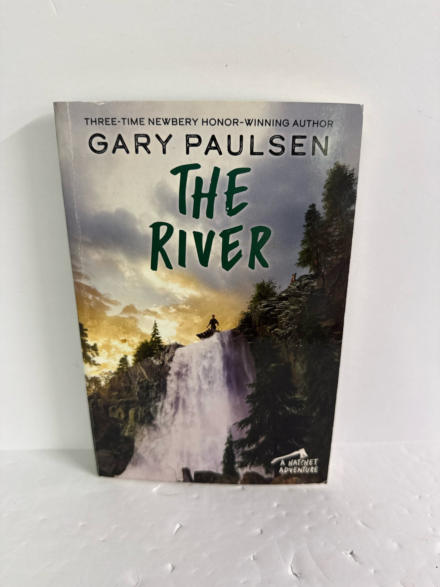 The River Ember Pre-Owned Gary Paulsen Fiction
