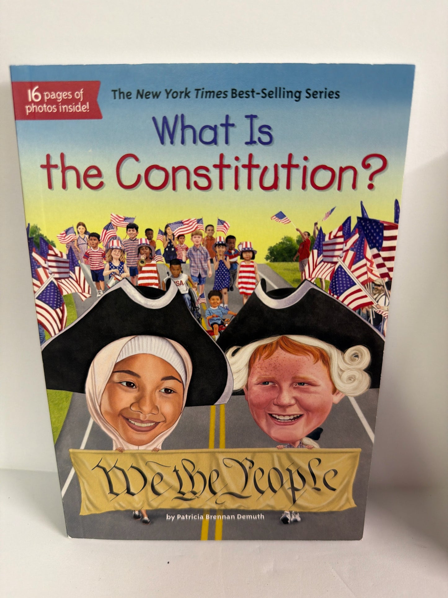 What is the Constitution? Patricia Brennan Demuth WHOHQ Juvenile Books