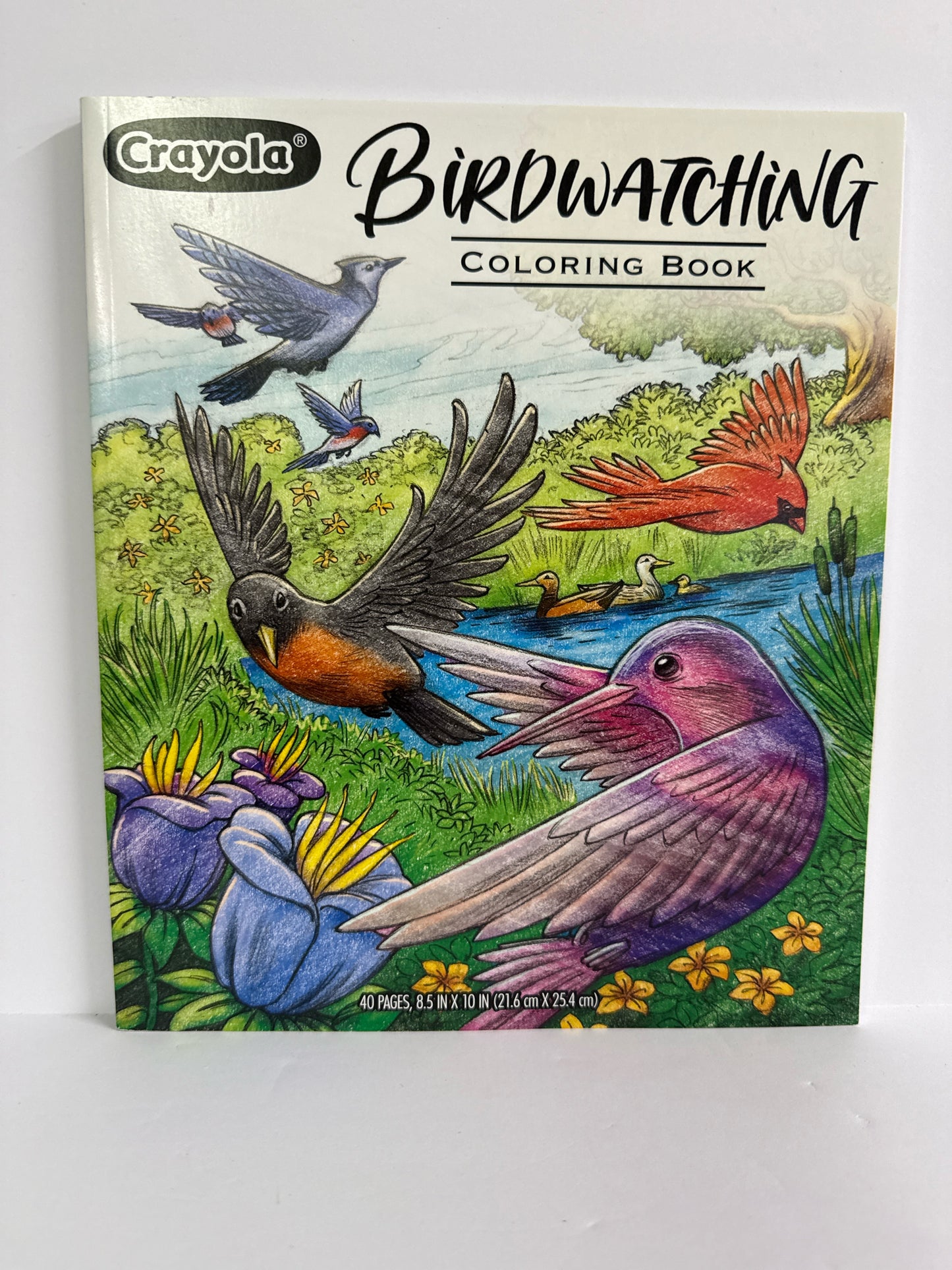 Birdwatching Crayola Coloring Book  Pre-Owned Summer Study Books