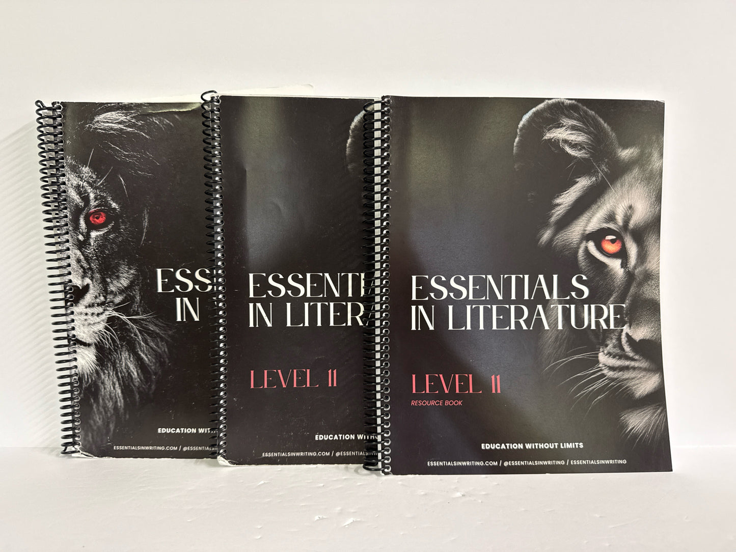 Essentials in Writing & Literature EIW Set  Pre-Owned Matthew Stephens Landmark