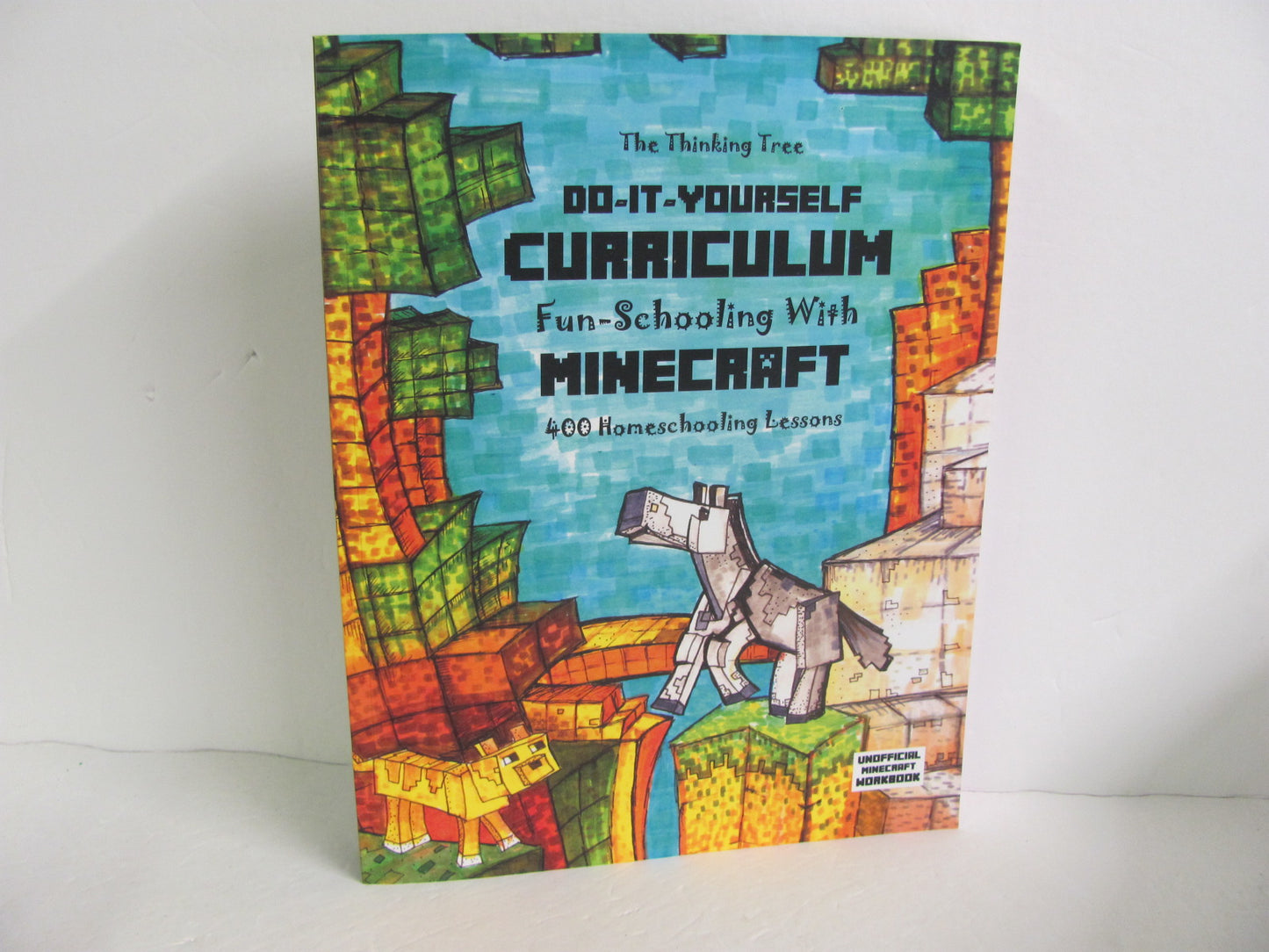 Do It Yourself Curriculum Minecraft Workbook  Pre-Owned Computer Books