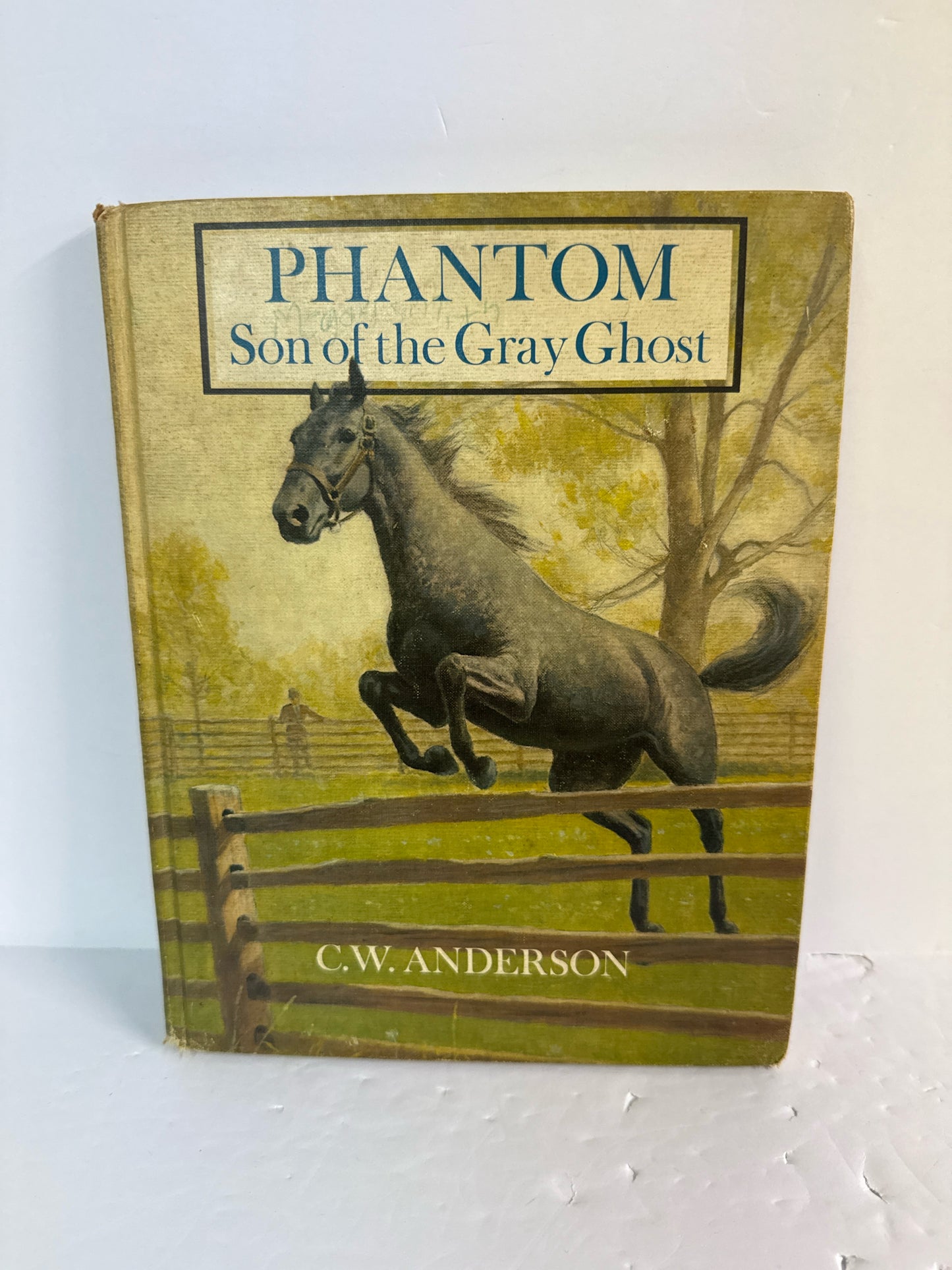 Phantom MacMillian Pre-Owned C.W. Anderson Fiction
