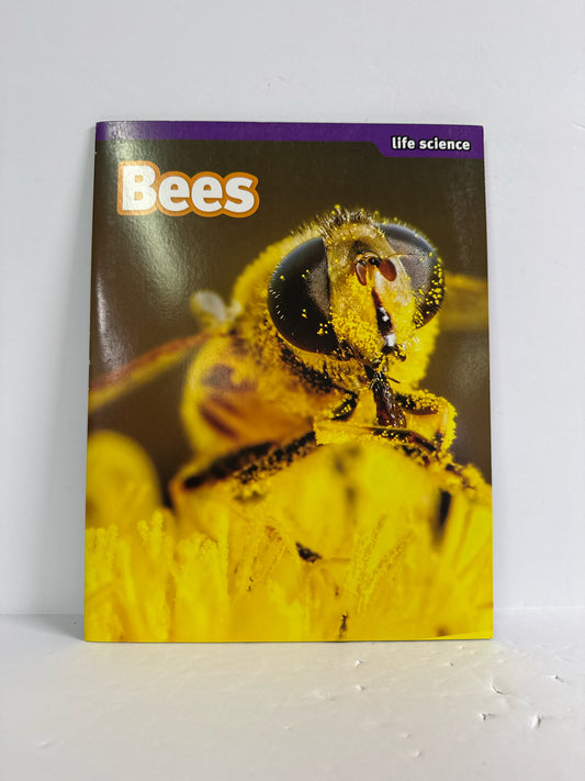 Bees Scholastic Stem Activities Elementary Experiment Books