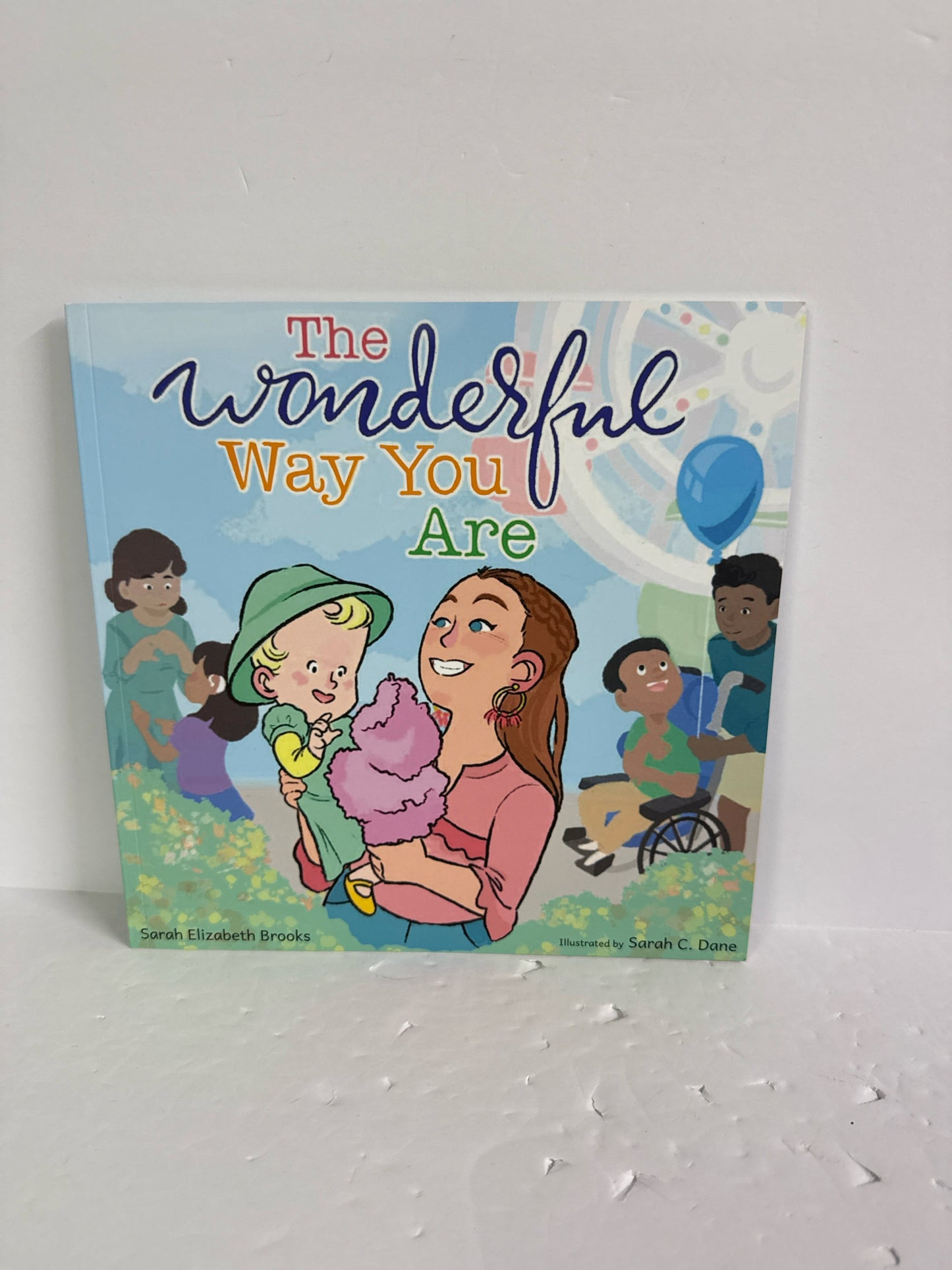 The Wonderful Way You Are Sarah Elizabeth Brooks Paperback Books