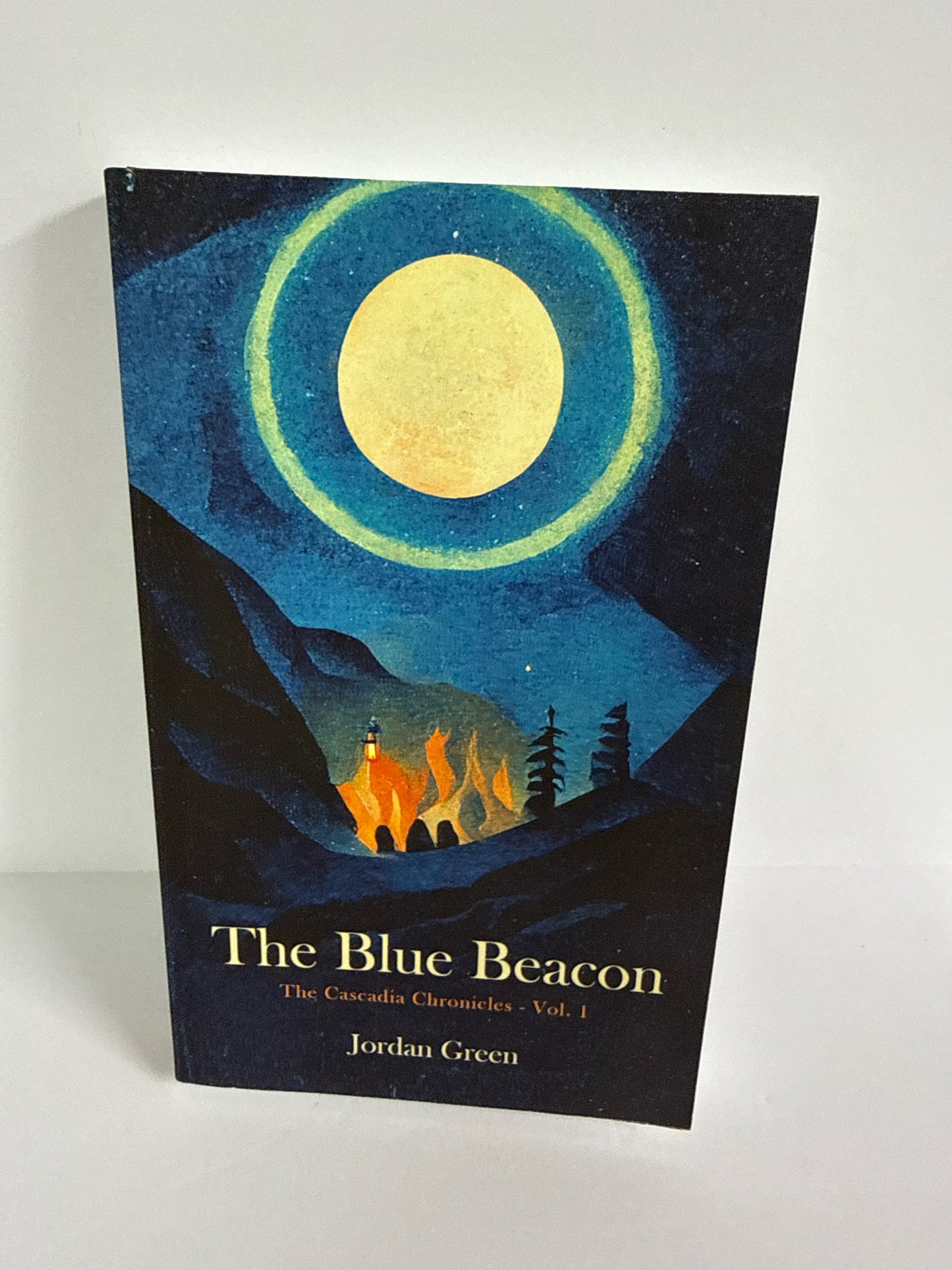 The Blue Beacon Terwilliger Press Pre-Owned Jordan Green Fiction Books