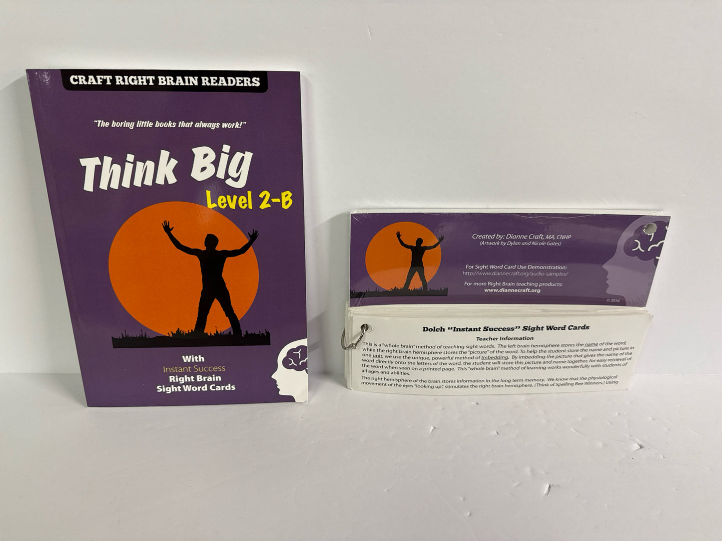 Think Big Craft Right Brain Reader  Pre-Owned Dianne Craft Reading Textbooks