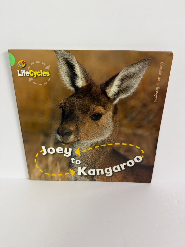 Joey to Kangaroo Camilla de la Bedoyere QEB Pub Paperback Books