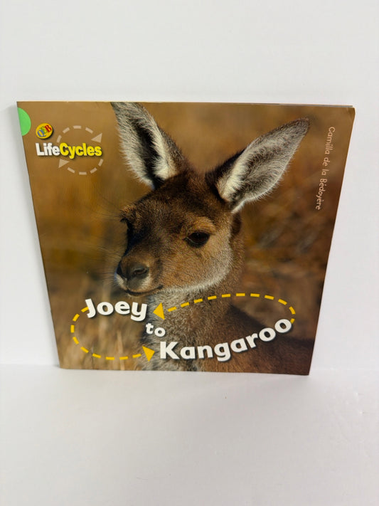 Joey to Kangaroo Camilla de la Bedoyere QEB Pub Paperback Books