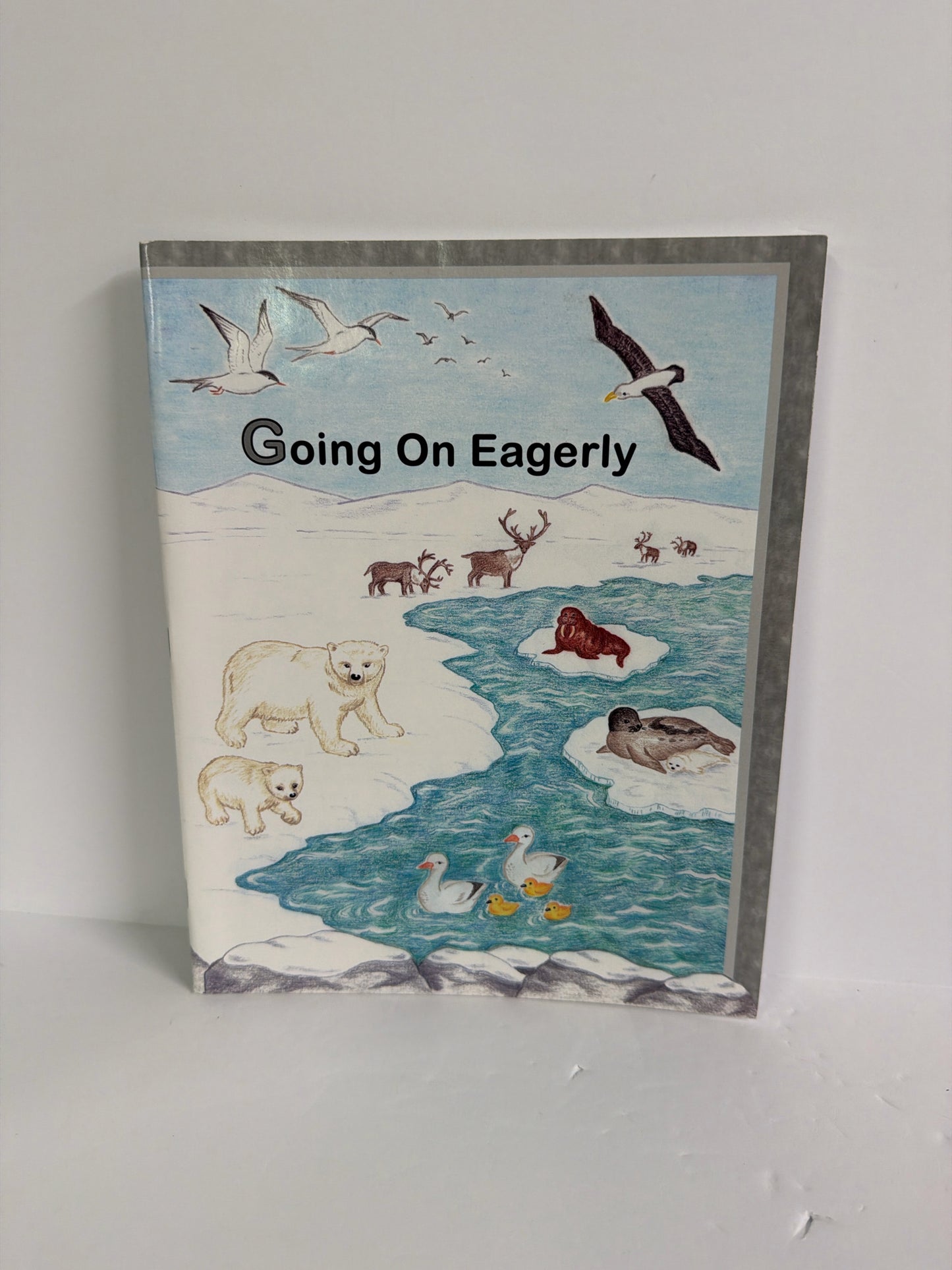 Rod & Staff Going on Eagerly Workbook  Pre-Owned Preschool Early Learning Books