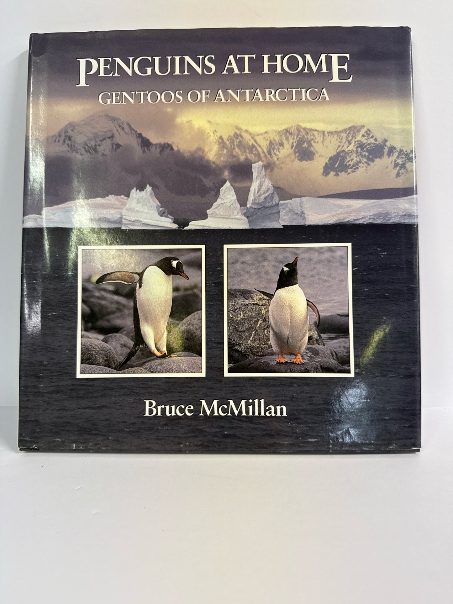 Penguins at Home Houghton Mifflin Pre-Owned Bruce McMillan Ocean/Seashore Books