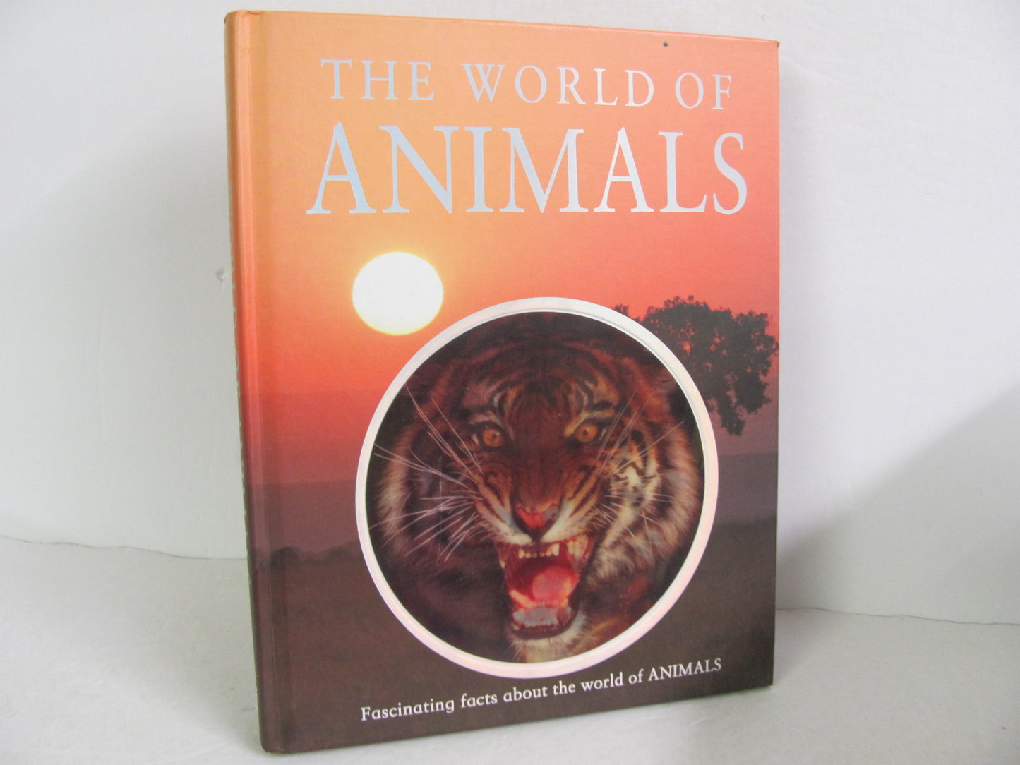 The World of Animals- Master Books Pre-Owned Elementary Animals/Insects Books